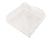 PVC take away box L120xW120xH100mm + silver cardboard